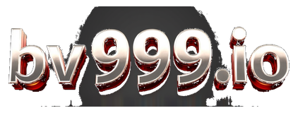 bv999.io logo